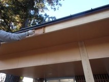 �忧�ݸ���������