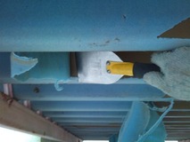 スポンジ剥がし