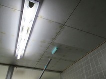 �����顼����