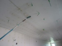 �����顼����