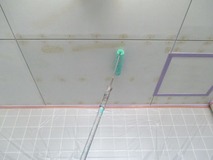 �����顼����