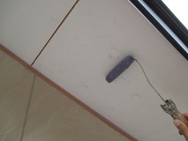 �����顼����