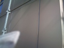 ����ߥѥͥ���������