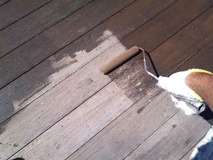 �����忧�ݸ���������