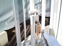 プライマー塗布