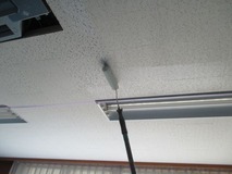 ���ɤ�����