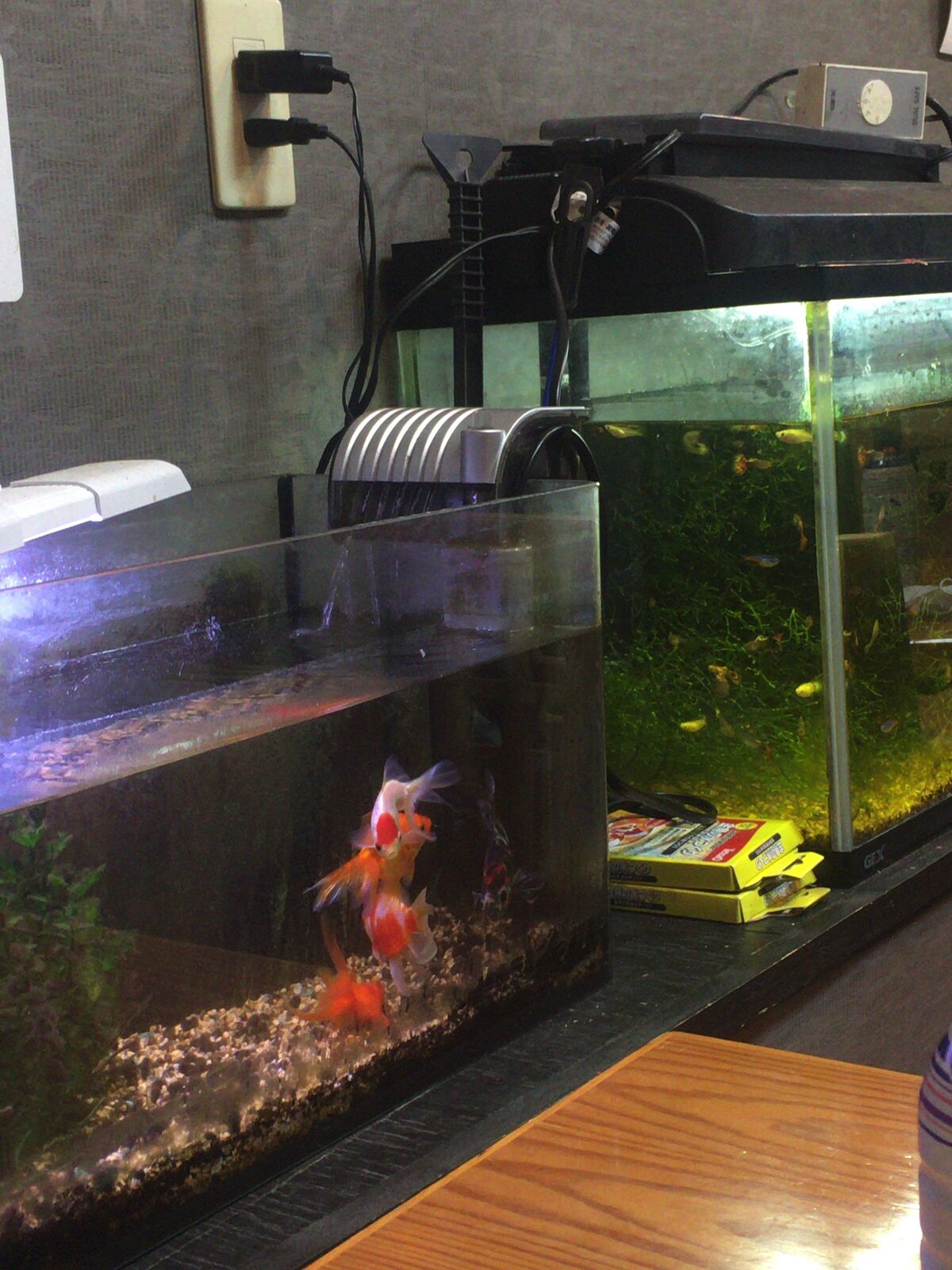 Jun 23 部屋のレイアウト変更 Blucheeseのblog Jun 23 部屋のレイアウト変更 Blucheeseのblog