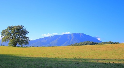 1CF8D7F69D1E4B5ABB785003F2ABCD30_LL