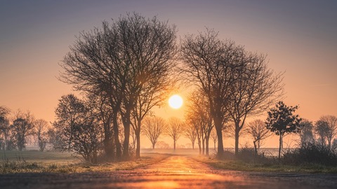 sunrises_and_sunsets_trees_sun_fog_4k_hd-1280x720