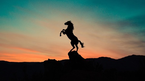 horse_silhouette_5k-1280x720
