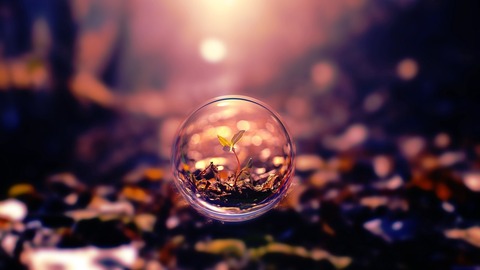 plant_through_lens_ball-1280x720