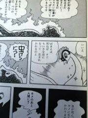 火の鳥 鳳凰編 ｍｉｕ ｏｎ ｍｉｕ