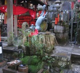 �İ������ĥ�