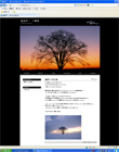 091224urashimakouichi