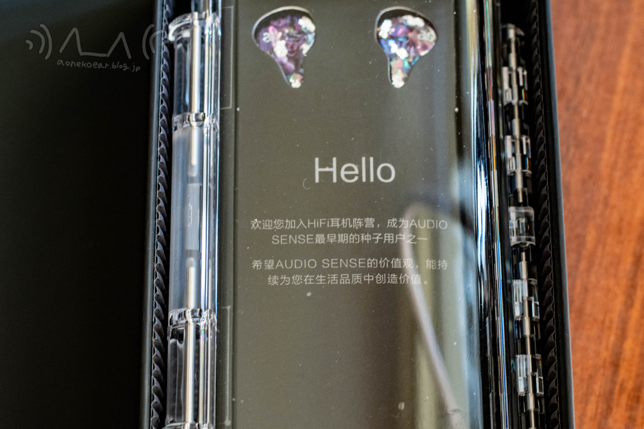Audiosense DT600のレビュー【利便性を捨て音に全力を注いだフルBA機