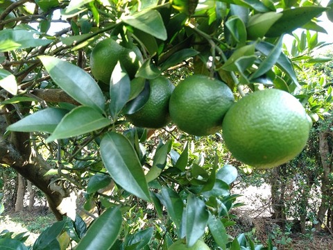 IMG20221024150750 (002)