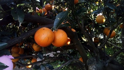 IMG_20180130_154653