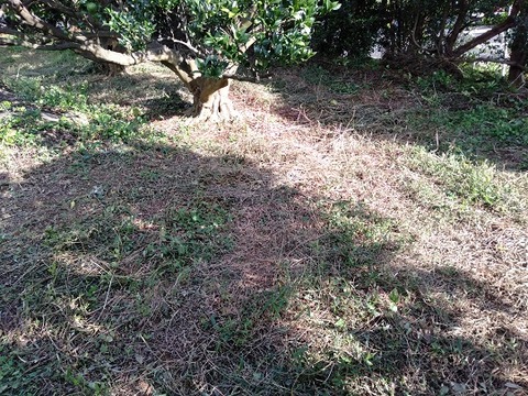 IMG20201114142755 (002)