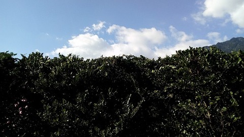 IMG_20190118_150226