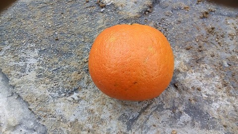 IMG_20181205_150410