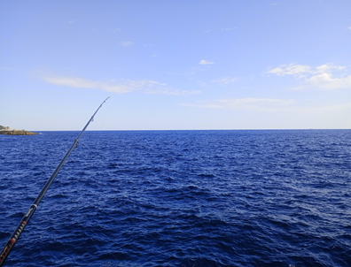 IMG_20240316_145936~2