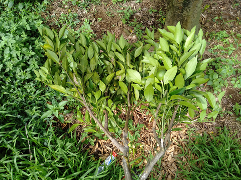 IMG20230711151234