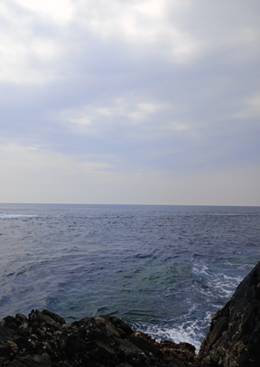 IMG_20240904_135345_HDR~2