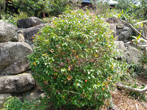 IMG20230512102336