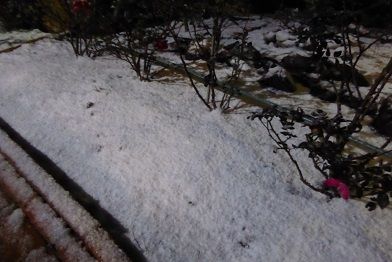 P1040058