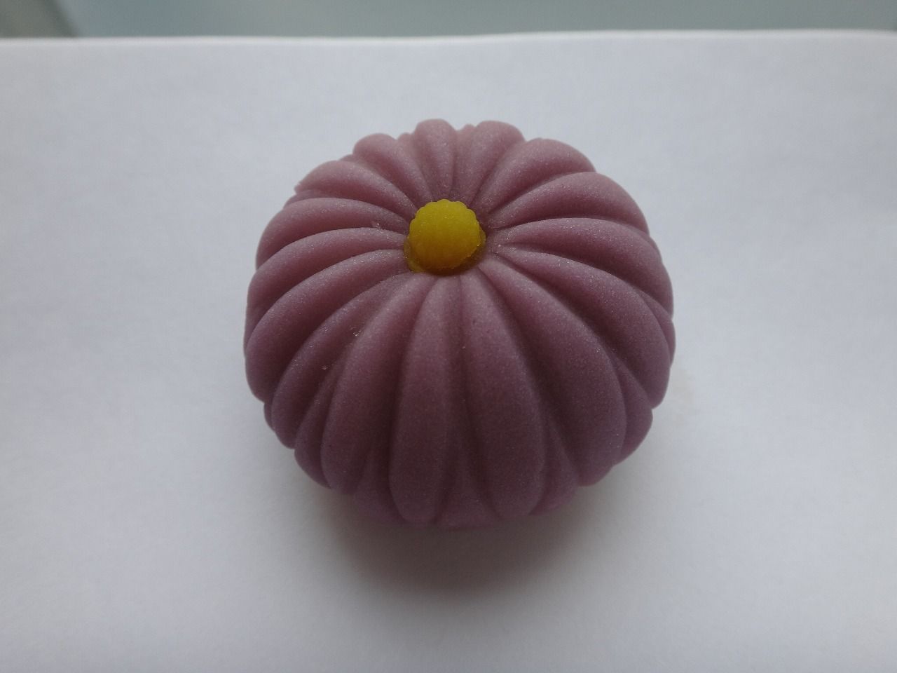 紫菊 亀末廣 秋 和菓子 紫菊 亀末廣 秋 和菓子