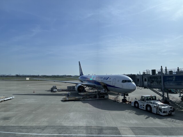 京都 伊丹空港のoasisでマラサダ Anaで帰京 お土産 ゚ 毎日が旅気分 Part 京都 伊丹空港のoasisでマラサダ Anaで帰京 お土産 ゚ 毎日が旅気分 Part