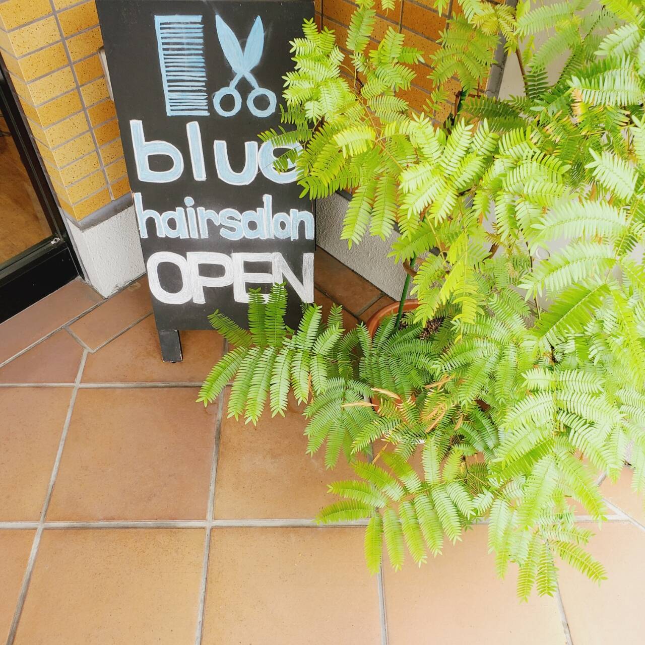 ブルー美容室 Blue Hair Salon Blog ブルーヘアサロンブログ