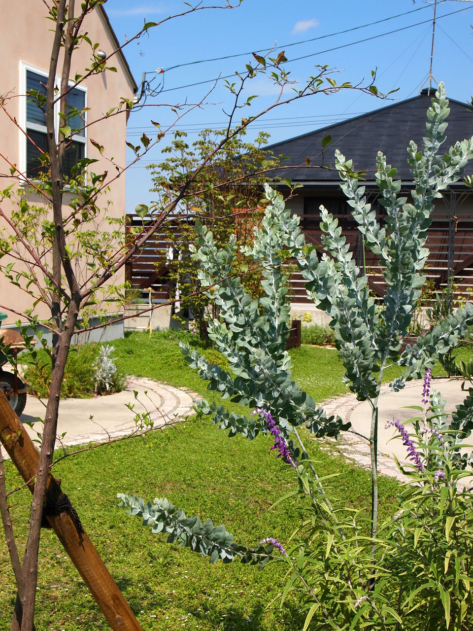 蕾膨らむ : Blue Hill -exterior & garden design-