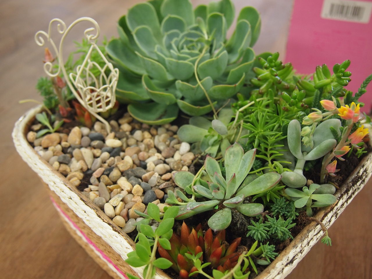 寄せ植え教室 初心者 8月 9月 Blue Hill Exterior Garden Design