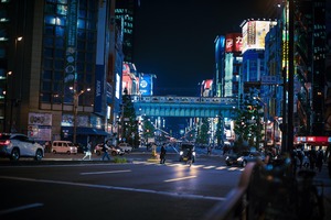 ついに憧れの秋葉原に来た結果w