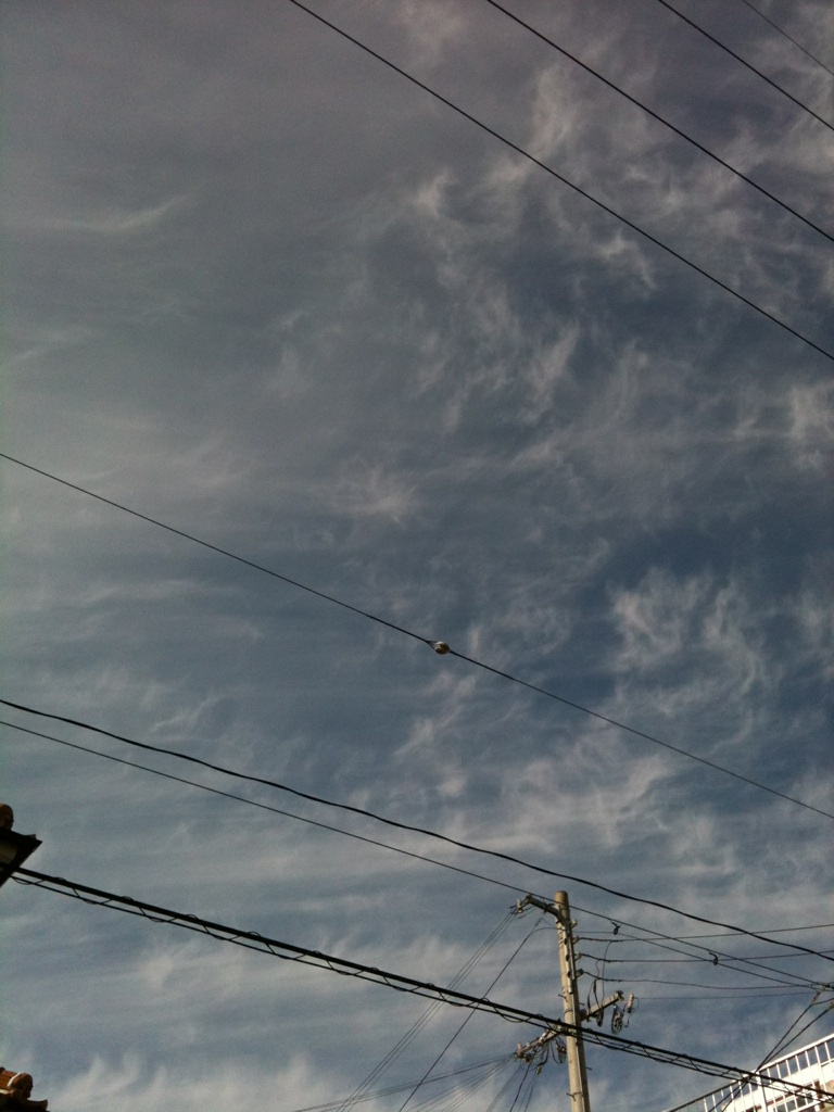 0ed0129f.jpg