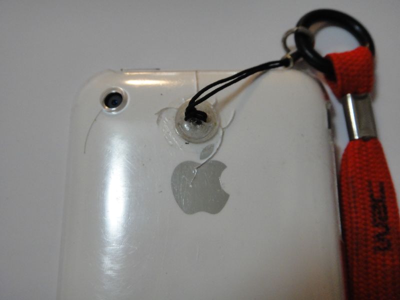 6421103c.jpg