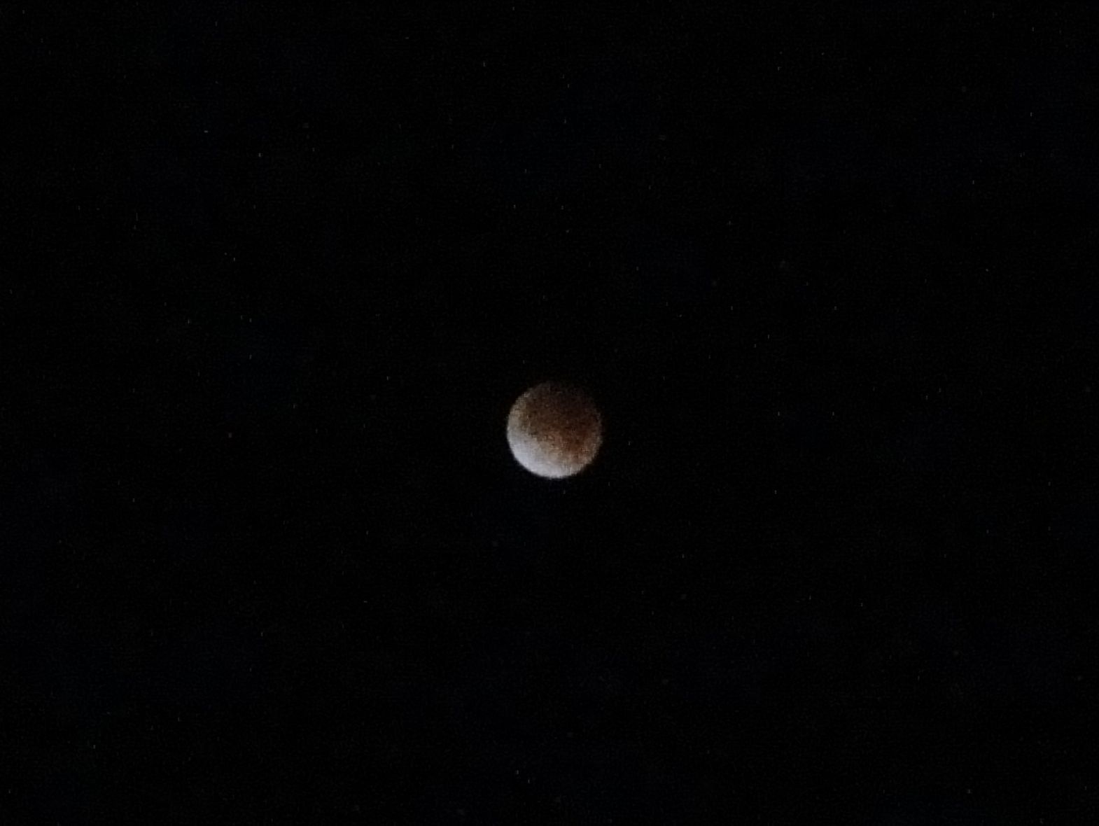 70a42f52.jpg