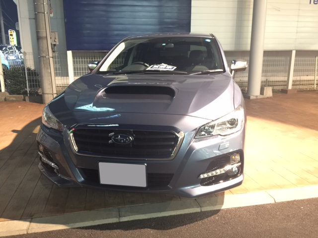 828a32f1.jpg
