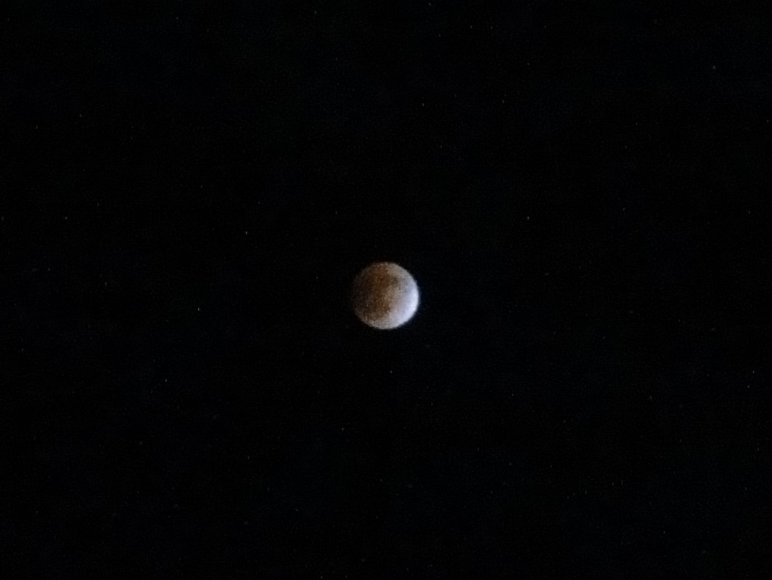99d29517.jpg