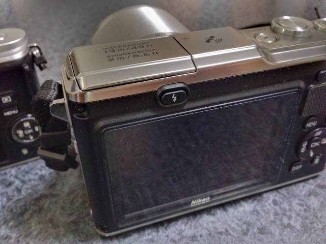 a526a885.jpg