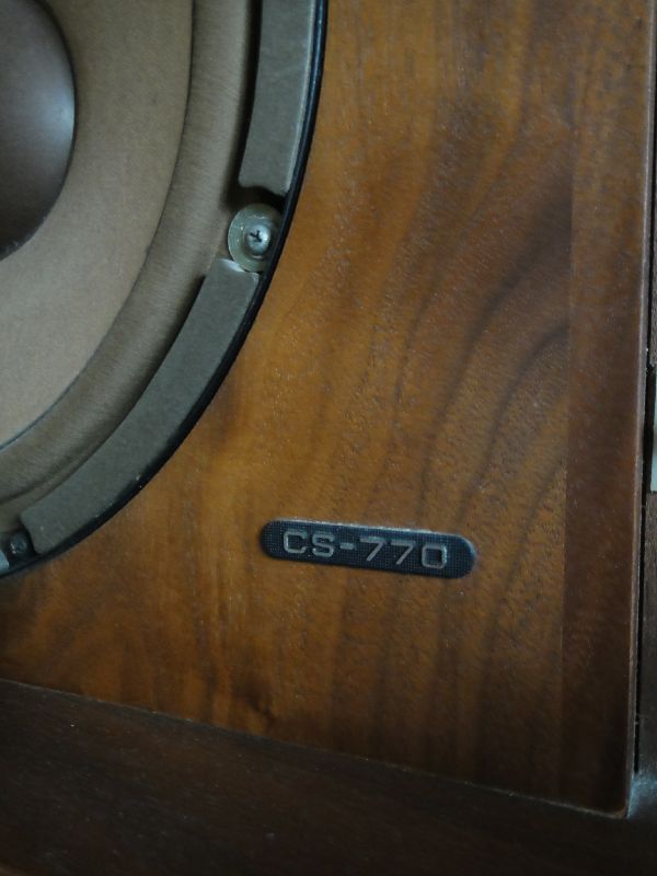 a91ee731.jpg