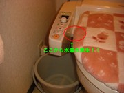 c7cf084c.jpg