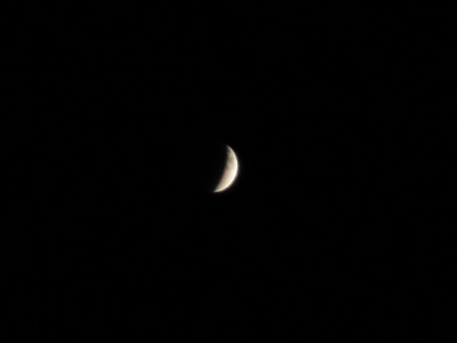 d1a56977.jpg