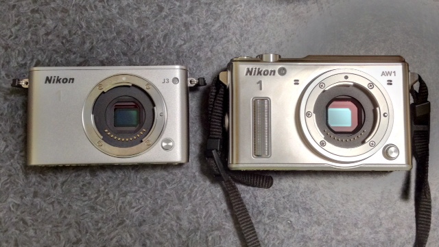 dddd614e.jpg