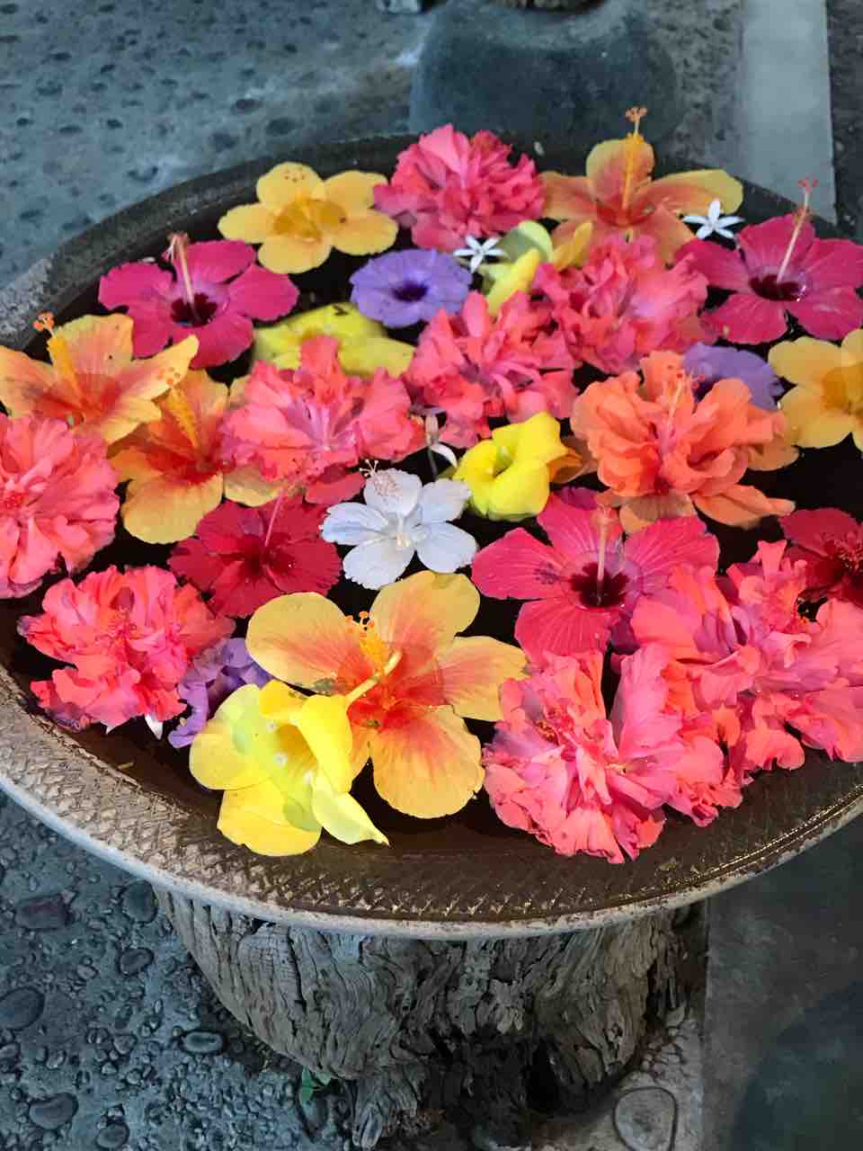 母娘の石垣島旅行 4泊5日 4日目その２ 19年10月24日 舟蔵の里 フサキビーチリゾートホテル Bluemoon007の旅行ブログ