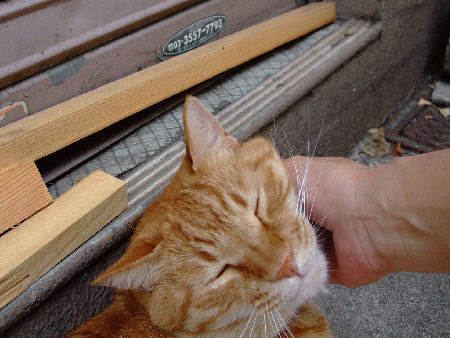 にこまる日記 外のコ Livedoor Blog ブログ