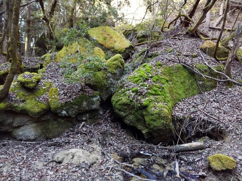 DSC_0070 (640x480)