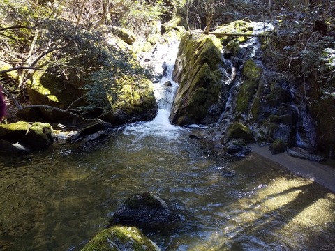 DSC_0021 (640x480) (3)
