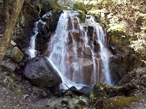 DSC_0009 (640x480) (4)